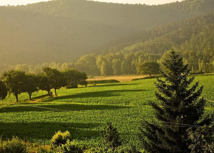 Σπίτι διακοπών Amedeo Rosia