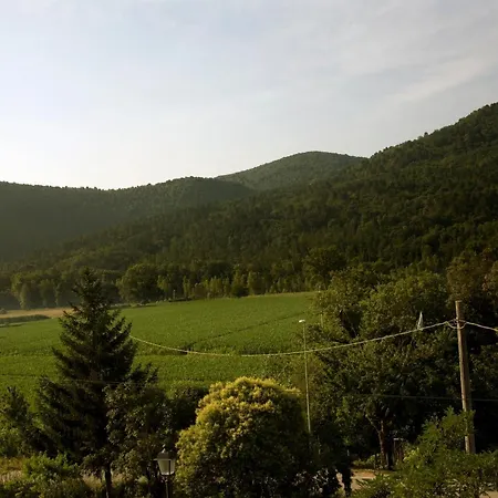 Holiday home Amedeo Rosia