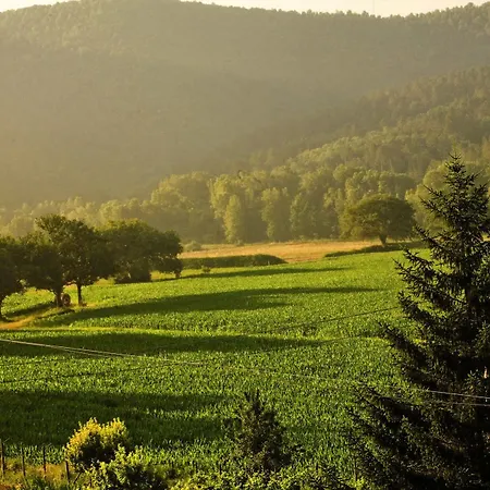 펜션 Amedeo 로시아